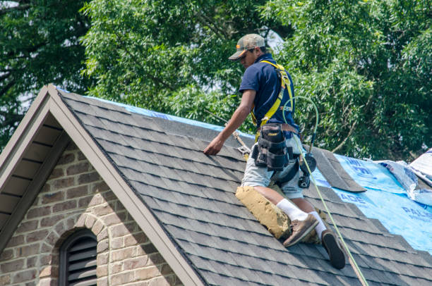 Quick and Trustworthy Emergency Roof Repair Services in Sandy Springs, SC